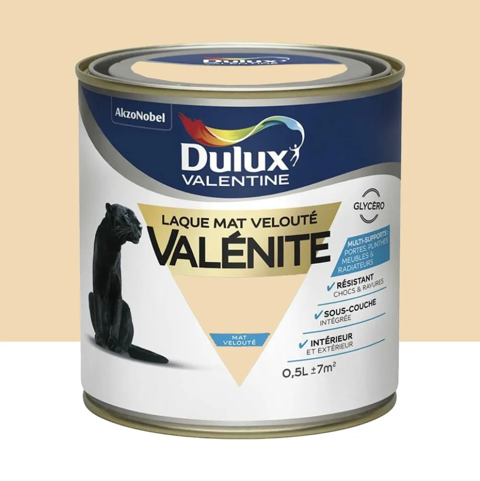 Laque mat velouté Dulux Valentine Valénite Coquille d'oeuf