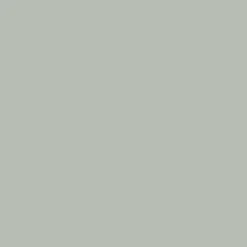 Laque mat velouté Dulux Valentine Valénite Béton Gris