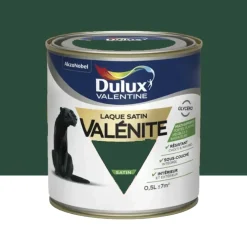 Laque satin Dulux Valentine Valénite Vert Basque