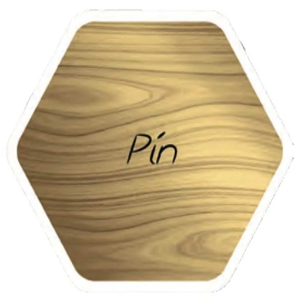 Lasure Acrylique Addict Pin