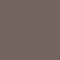 Lasure Chalets Color V33 Walnut