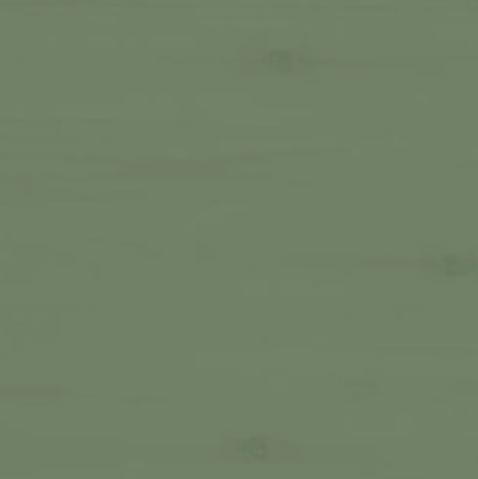 Lasure Haute Protection V33 Les Couleurs 8 ans Vert Provence