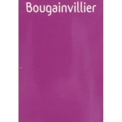 LIBÉRON Effet Patiné & Glacis Bougainvillier
