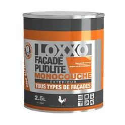 LOXXO Peinture Façade Pliolite 2,5L Blanc