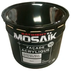 MOSAÏK Peinture Façade Acrylique Blanc 10L