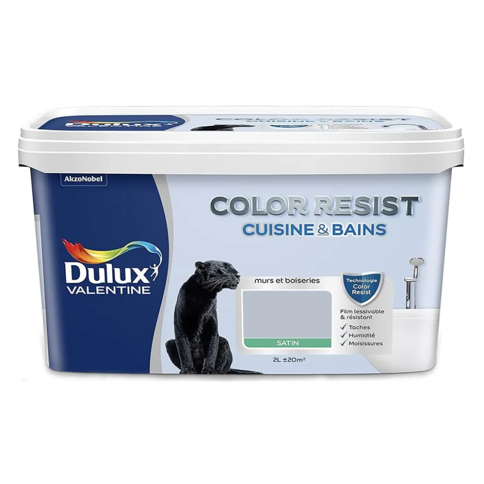 Peinture acrylique Dulux Valentine Color Resist Cuisine & Bains Galet poli
