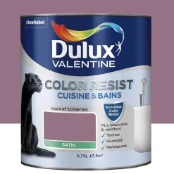 Peinture acrylique Dulux Valentine Color Resist Cuisine & Bains Figue