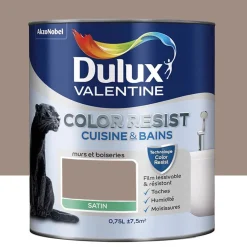 Peinture acrylique Dulux Valentine Color Resist Cuisine & Bains Taupe