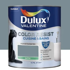 Peinture acrylique Dulux Valentine Color Resist Cuisine & Bains Bleu gris