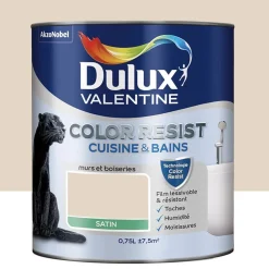 Peinture acrylique Dulux Valentine Color Resist Cuisine & Bains Cocon