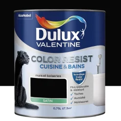 Peinture acrylique Dulux Valentine Color Resist Cuisine & Bains Noir