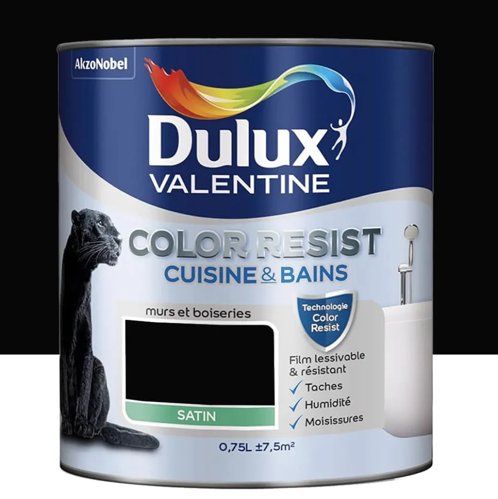 Peinture acrylique Dulux Valentine Color Resist Cuisine & Bains Noir