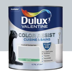 Peinture acrylique Dulux Valentine Color Resist Cuisine & Bains Hammam