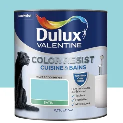 Peinture acrylique Dulux Valentine Color Resist Cuisine & Bains Bleu indien