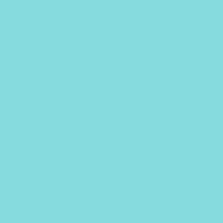 Peinture acrylique Dulux Valentine Color Resist Cuisine & Bains Bleu indien