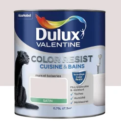 Peinture acrylique Dulux Valentine Color Resist Cuisine & Bains Rose nude
