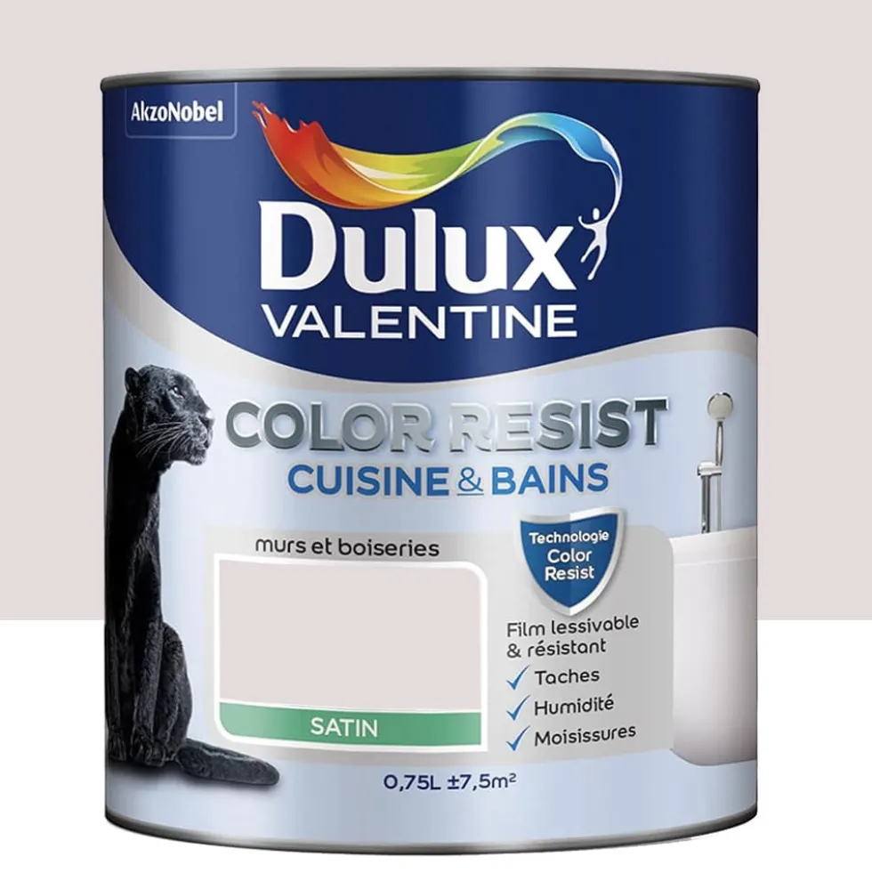 Peinture acrylique Dulux Valentine Color Resist Cuisine & Bains Rose nude