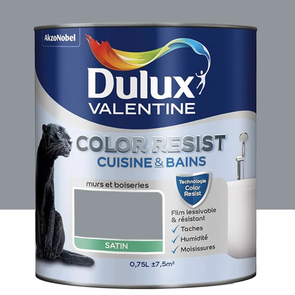 Peinture acrylique Dulux Valentine Color Resist Cuisine & Bains Gris Building