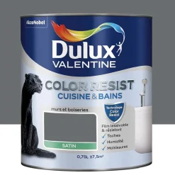 Peinture acrylique Dulux Valentine Color Resist Cuisine & Bains Anthracite