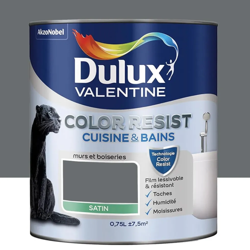 Peinture acrylique Dulux Valentine Color Resist Cuisine & Bains Anthracite
