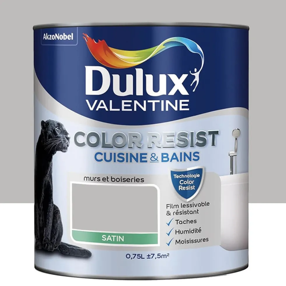 Peinture acrylique Dulux Valentine Color Resist Cuisine & Bains Béton Gris