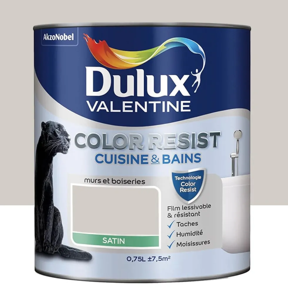 Peinture acrylique Dulux Valentine Color Resist Cuisine & Bains Galet