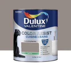 Peinture acrylique Dulux Valentine Color Resist Cuisine & Bains Terre Cendrée