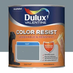Peinture acrylique Dulux Valentine Color Resist Mat Bleu gris