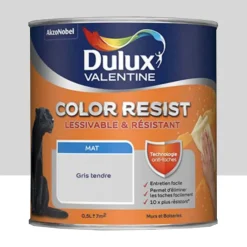 Peinture acrylique Dulux Valentine Color Resist Mat Gris tendre