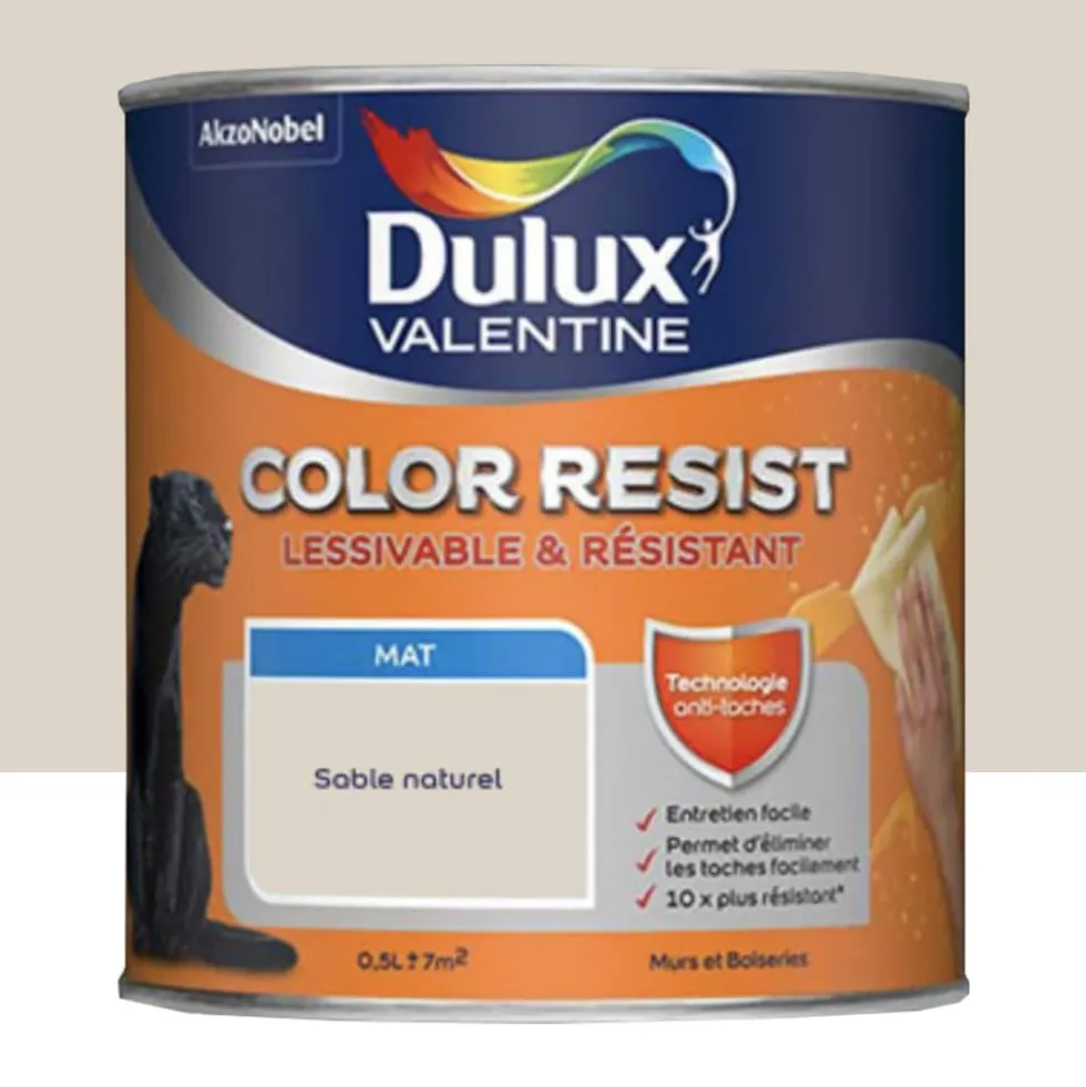 Peinture acrylique Dulux Valentine Color Resist Mat Sable naturel