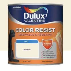 Peinture acrylique Dulux Valentine Color Resist Mat Dentelle