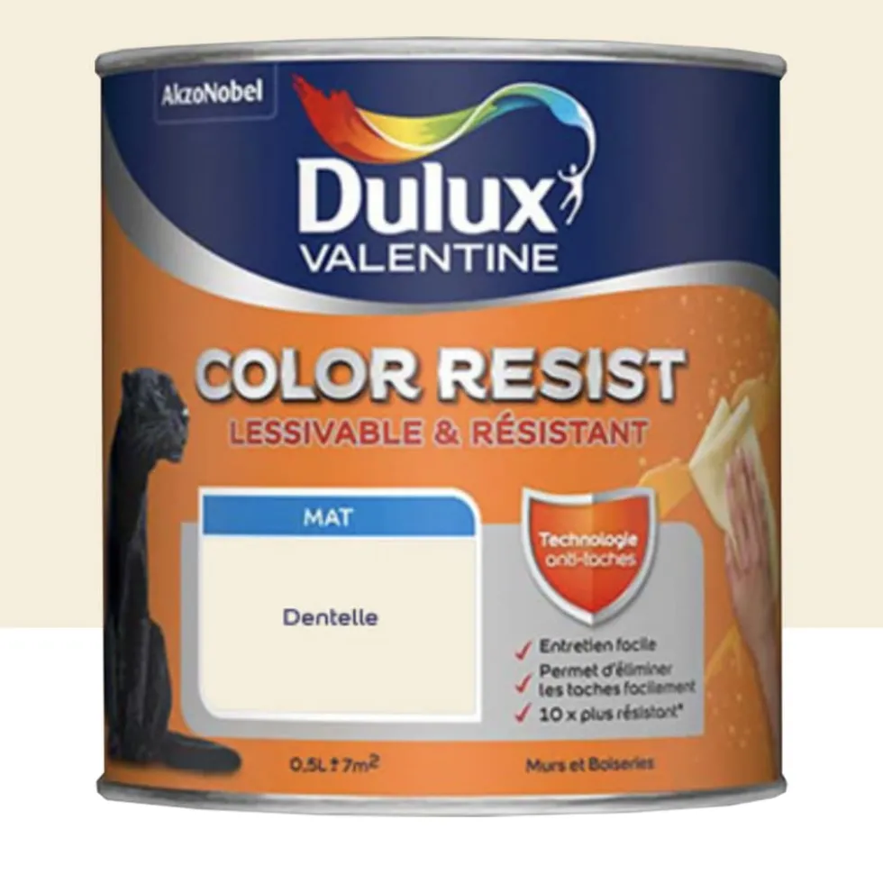 Peinture acrylique Dulux Valentine Color Resist Mat Dentelle