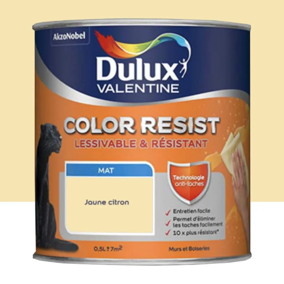 Peinture acrylique Dulux Valentine Color Resist Mat Jaune citron