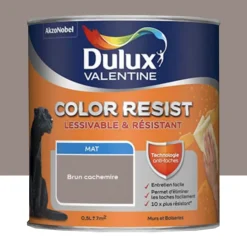 Peinture acrylique Dulux Valentine Color Resist Mat Brun cachemire