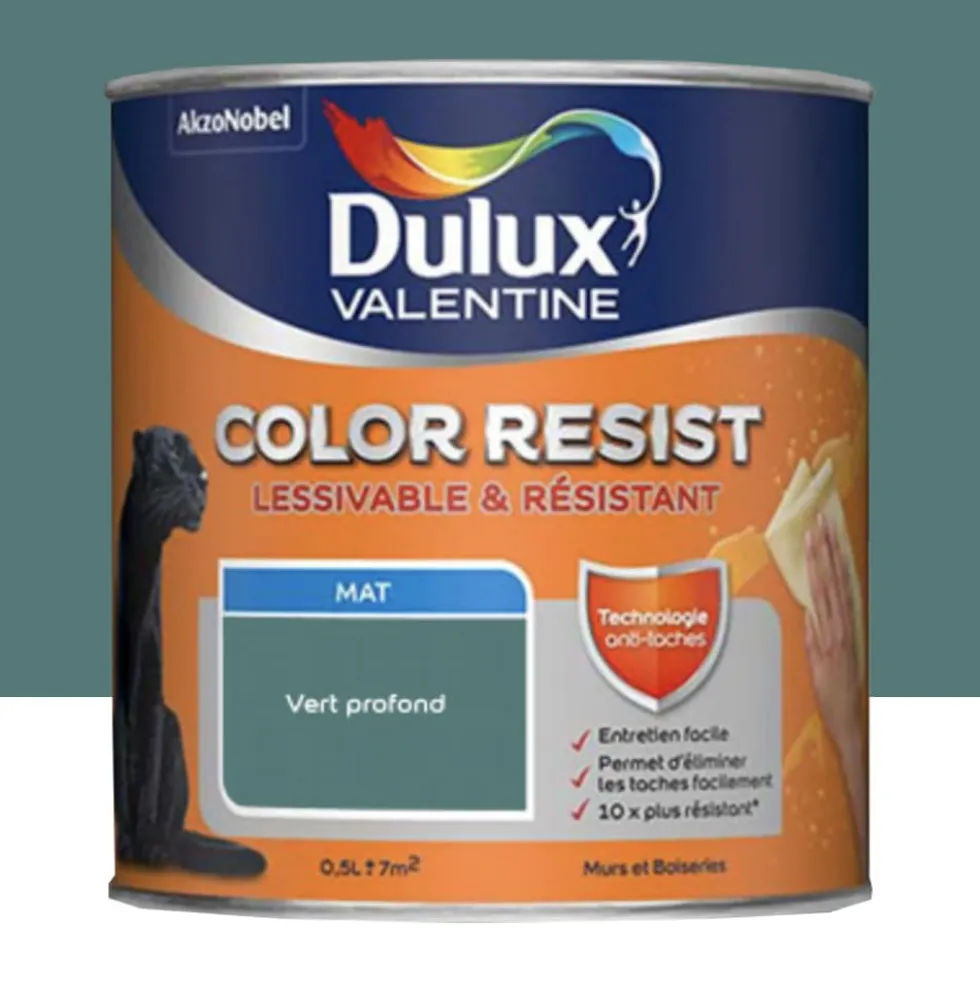 Peinture acrylique Dulux Valentine Color Resist Mat Vert profond