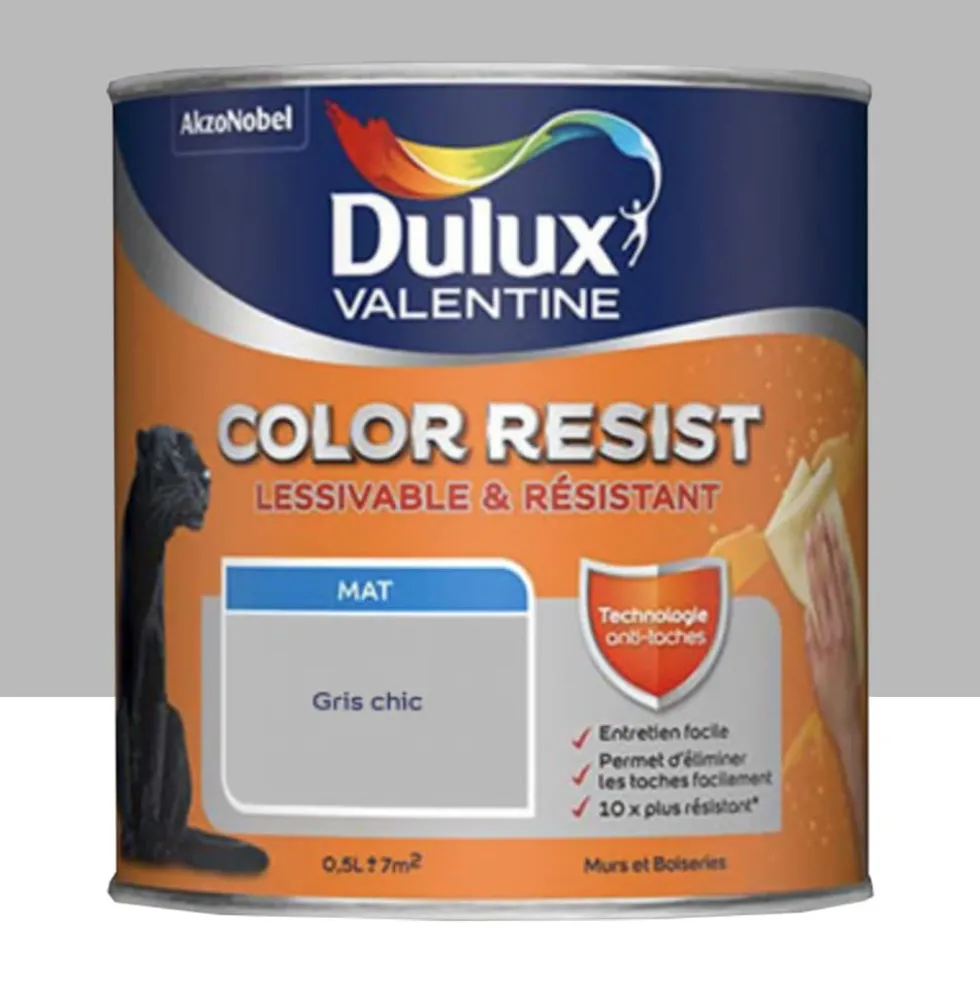 Peinture acrylique Dulux Valentine Color Resist Mat Gris chic