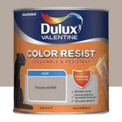Peinture acrylique Dulux Valentine Color Resist Mat Taupe parfait