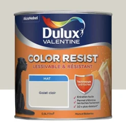 Peinture acrylique Dulux Valentine Color Resist Mat Galet clair