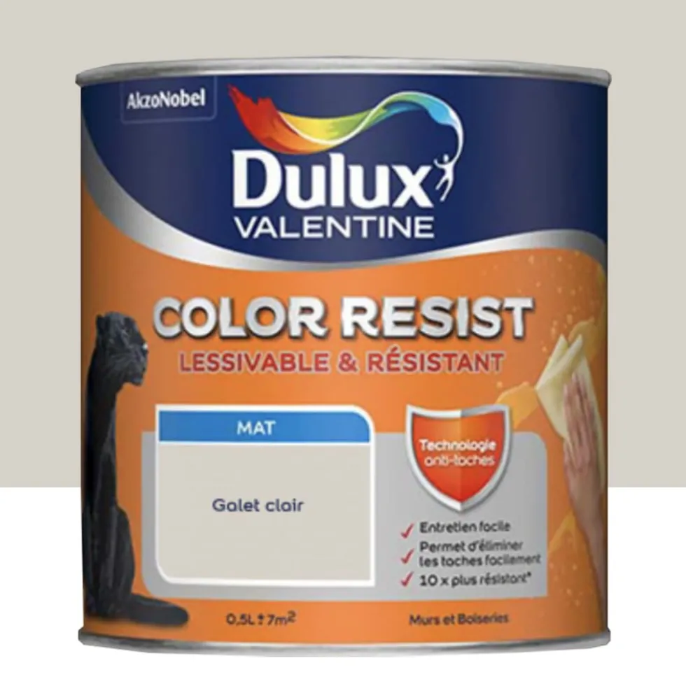 Peinture acrylique Dulux Valentine Color Resist Mat Galet clair