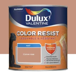 Peinture acrylique Dulux Valentine Color Resist Mat Cuivre rose