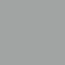 Peinture acrylique Dulux Valentine Color Resist Mat Gris parfait