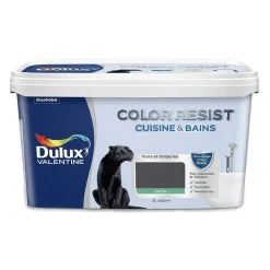 Peinture acrylique Dulux Valentine Color Resist Cuisine & Bains Smoky