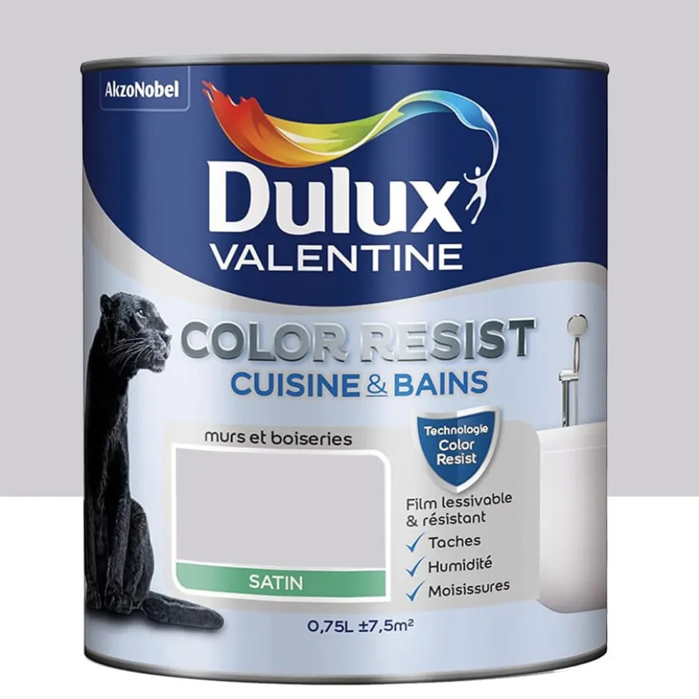 Peinture acrylique Dulux Valentine Color Resist Cuisine & Bains Poudre de riz