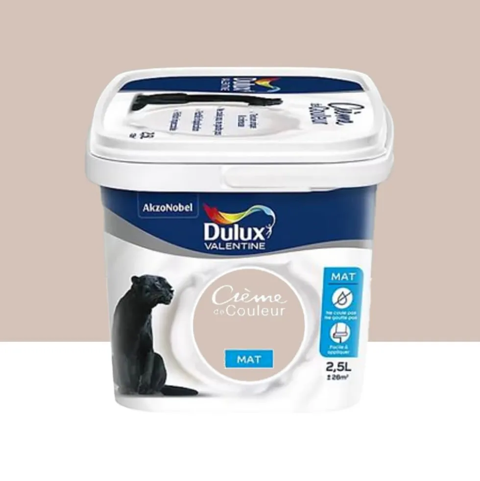 Peinture acrylique mat DULUX VALENTINE Crème de couleur Lin Intense