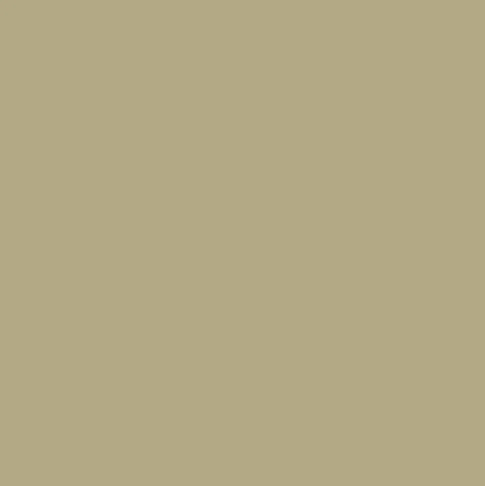 Peinture Acrylique pour Bois Extérieurs 10 ans V33 Couleurs d'ICI Velours Jaune kaki