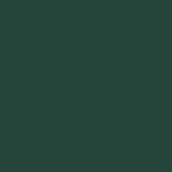 Peinture acrylique pour boiseries extérieures ID Atlantic Vert sapin Biarritz Velours
