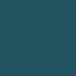 Peinture acrylique RIPOLIN Esprit Déco Satin Bleu pop