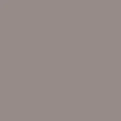 Peinture acrylique satin DULUX VALENTINE Crème de couleur Brun cachemire