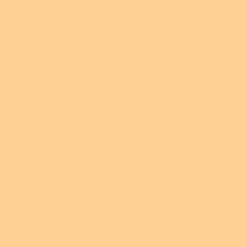 Peinture Appuis de fenêtres BÂTIR Ocre clair