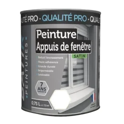 Peinture Appuis de fenêtres BÂTIR Blanc